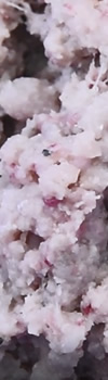 采魚肉